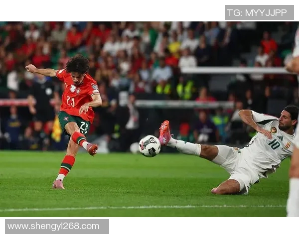 匈牙利足球明星的风采展现与个人魅力的证件照解析